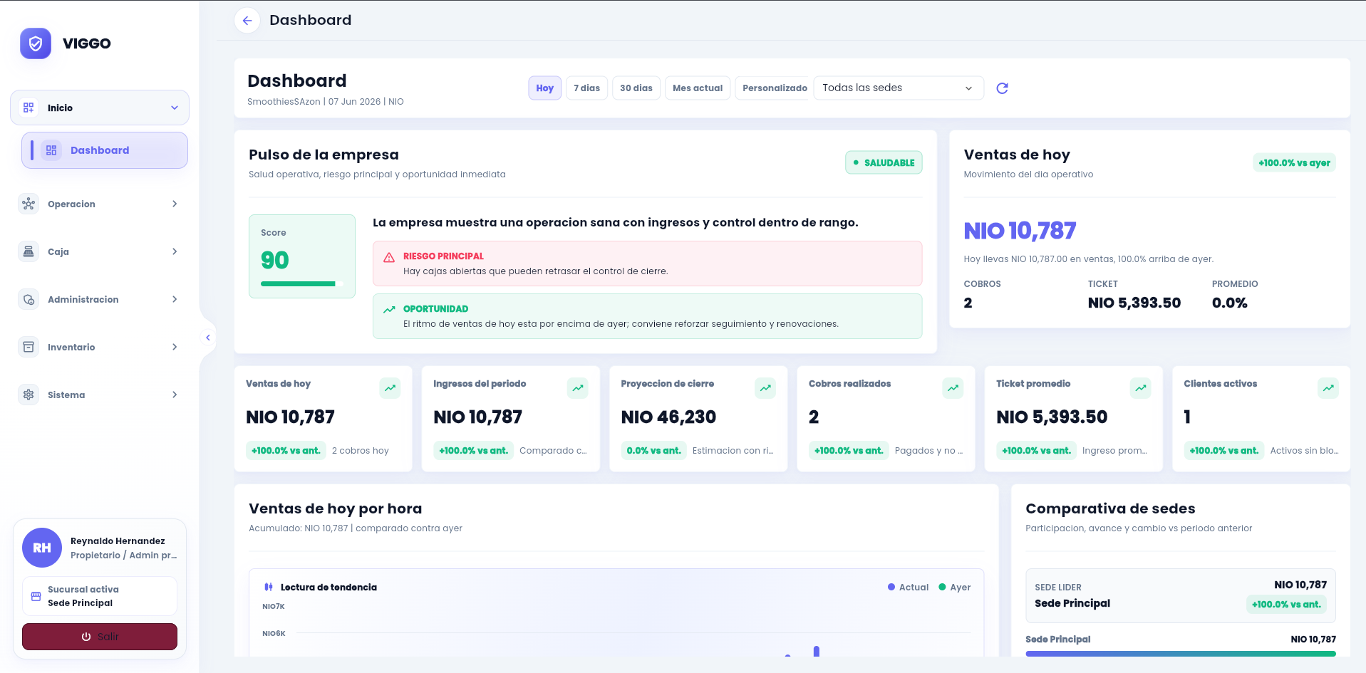 VIGGO dashboard showing sales, payments and business activity.
